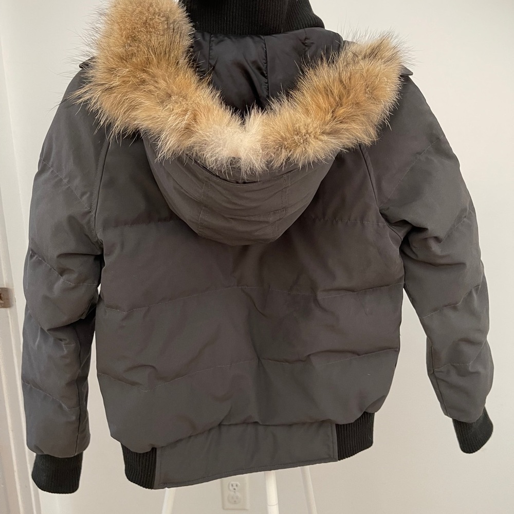 Canadian goose bombsr jacket